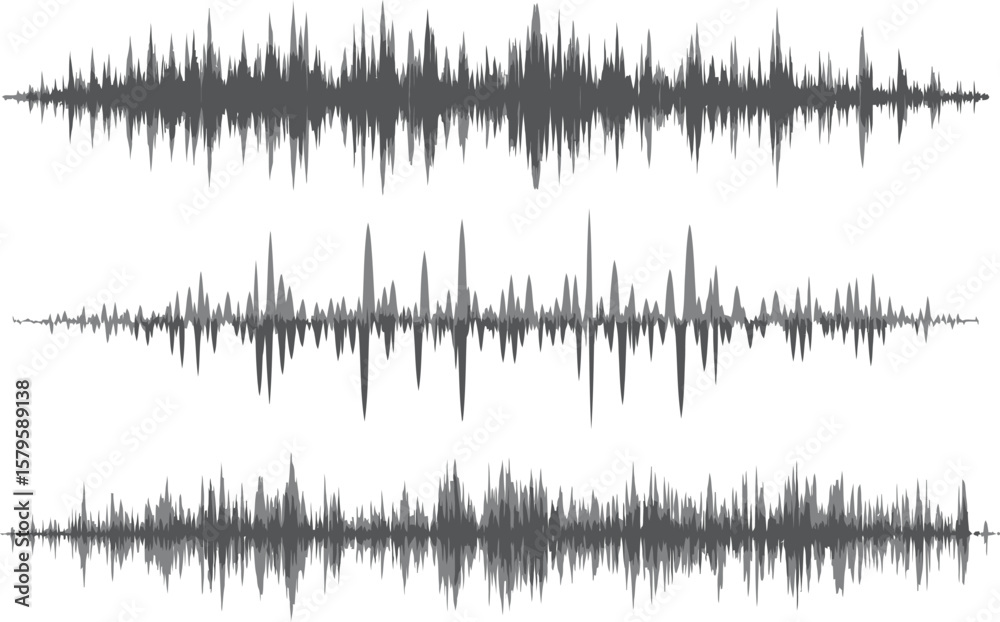 Fototapeta premium Audio Waveforms Visual Representation of Sound Waves in Gray Tones - Sound Design Element