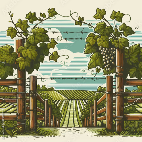 Vineyard entrance with grapes, picturesque mood, winemaking landscape illustration in line art style