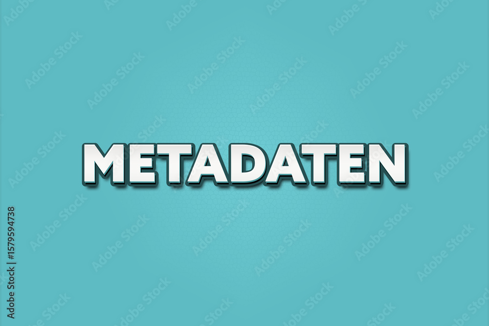 Fototapeta premium Metadaten (Metadata) - A turquoise banner illustration with white text.