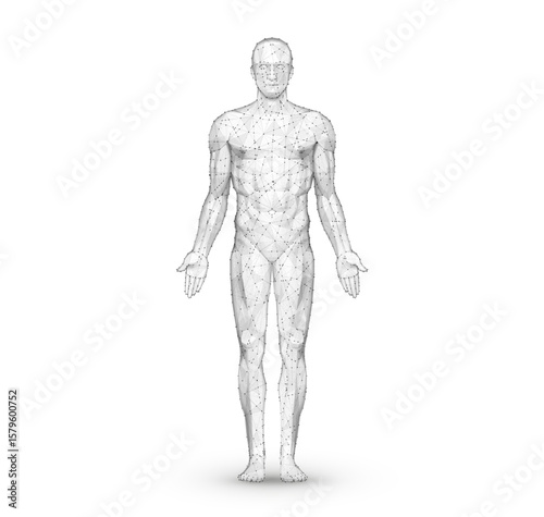 Human body. Abstract vector. Digital anatomy, Medical technology, Muscle structure.