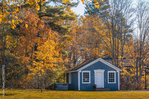 A cozy blue cabin nestled in a forest of vibrant autumn foliage under a clear sky. Warm, golden leaves surround the rustic home, capturing the peaceful essence of fall in the countryside.