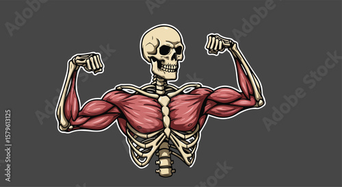 Strong Skeleton with Muscles Flexing Arms