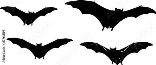silhouette bats flying vector

