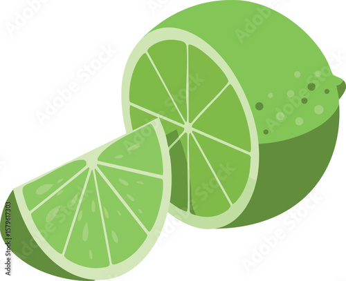 Lime fruit vector with sliced segments showcasing fresh green citrus and juicy texture illustration