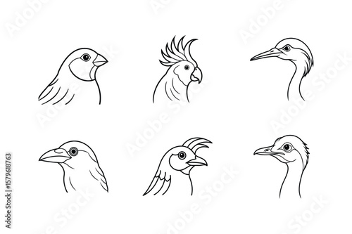 Bird head line art set. rhea, cuckoo, crow, crane, cockatoo and canary bird vector illustration.