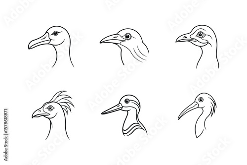 Bird head line art set. spoonbill, snipe, secretary, bustard, bower and albatross bird vector illustration.