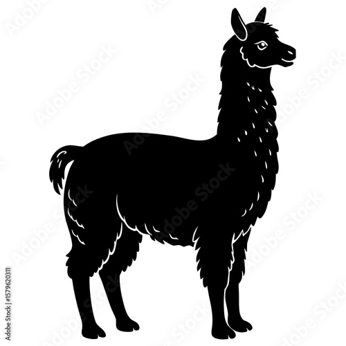 Alpaca vector, a modern alpaca art design, a black vector of an alpaca, a simple alpaca art, an alpaca isolated