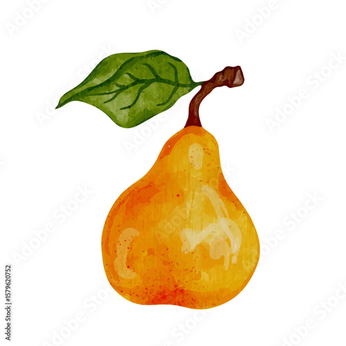 Ripe, juicy pears with green leaves. Vector graphics.
