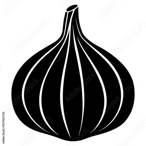 Garlic vector, a garlic art design, vector of a garlic, simple garlic art, a garlic isolated
