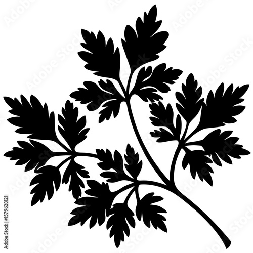 Parsley vector, a parsley art design, vector of a parsley, parsley art, a parsley isolated