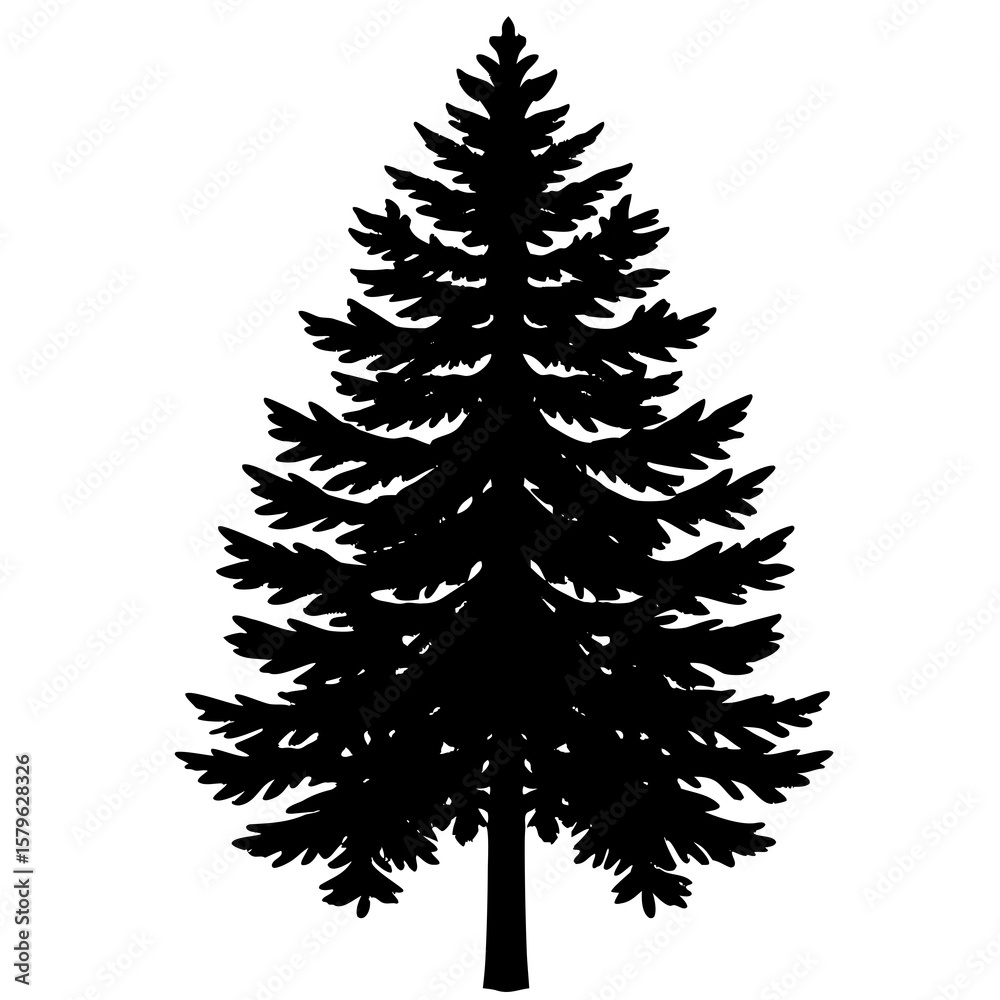 Obraz premium Pine tree vector, a pine tree art design, vector of a pine tree, pine tree art, a pine tree isolated