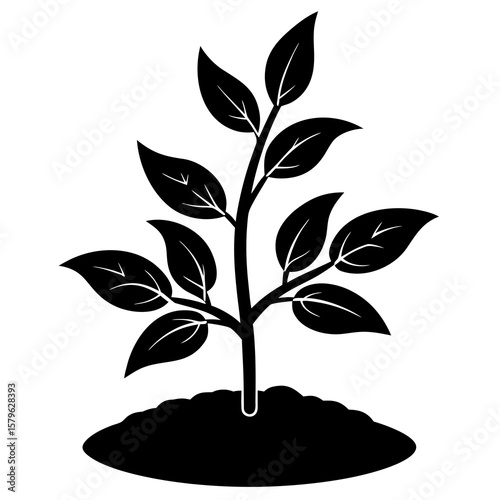 Growing plant vector, a Growing plant art design, vector of a growing plant, growing plant art, a growing plant isolated