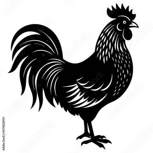 Rooster vector, a rooster art design, vector of a rooster, rooster art isolated