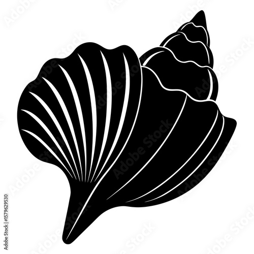 Seashell icon vector, a Seashell silhouette, Vector of Seashell art, a Seashell black silhouette vector isolated