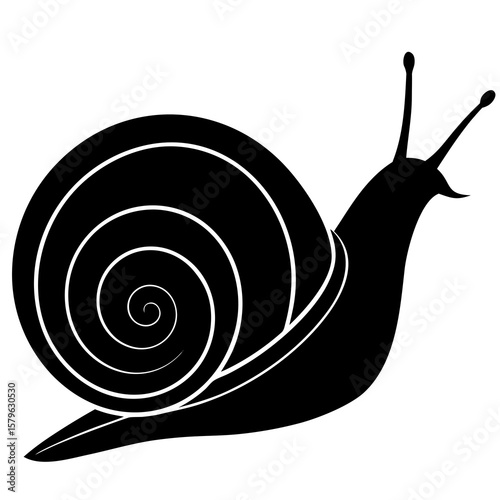 Snail icon vector, a snail silhouette, Vector of snail art, snail black silhouette vector isolated