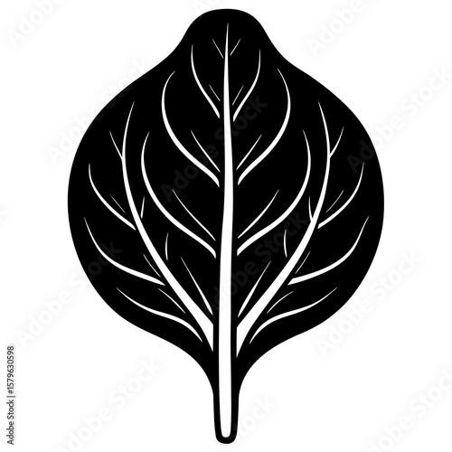 Spinach leaf icon vector, a spinach leaf silhouette, Vector of spinach leaf art, spinach leaf black silhouette vector isolated