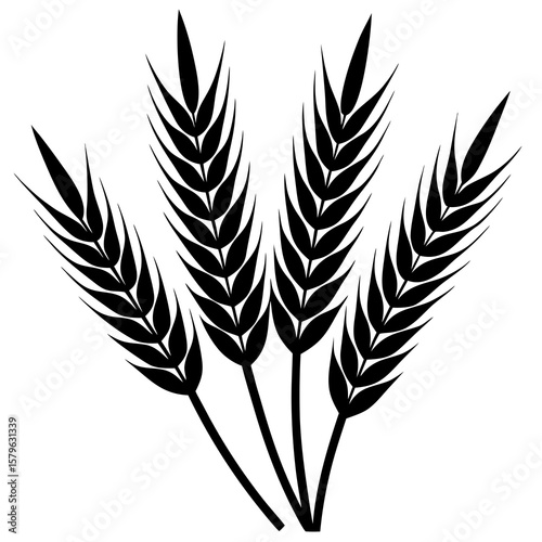 Wheat ears icon vector, a Wheat ears silhouette, Vector of Wheat ears art, Wheat ears black silhouette vector isolated