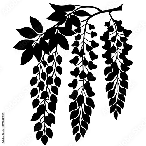 Wisteria flower icon vector, a flower silhouette, Vector of wisteria flower art, Wisteria flower black silhouette vector isolated