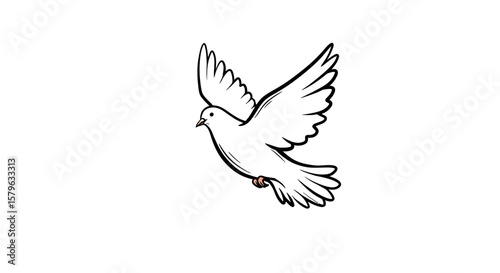 Elegant white dove in flight, a symbol of peace and freedom outlined gracefully