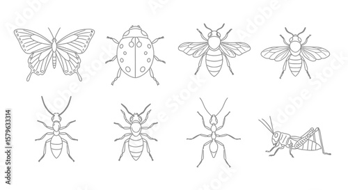 Collection of insect outlines including butterfly, ladybug, bee, ant and grasshopper