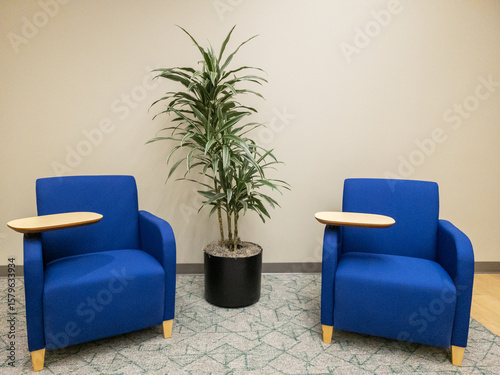 Low-maintenance white striped Dracaena tropical houseplant or Dracaena Warneckii Cane Grande in a room pot between two blue soft chairs with convenience trays set on a carpet against cream colored wal