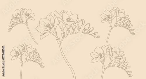 Elegant Line Art Freesia Flowers Botanical Illustration, Floral Design, Nature Art Print