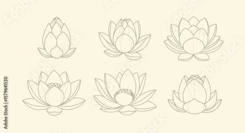 Elegant Lotus Flower Line Art Illustrations Six Unique Designs for Your Projects