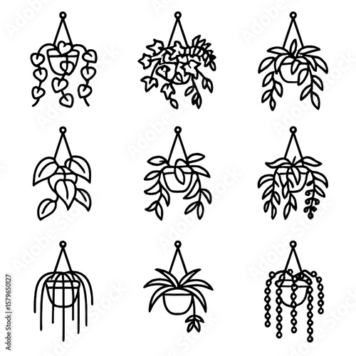 Icon vine indoor trailing pothos fern bananas vector rhipsalis icons plant pearl