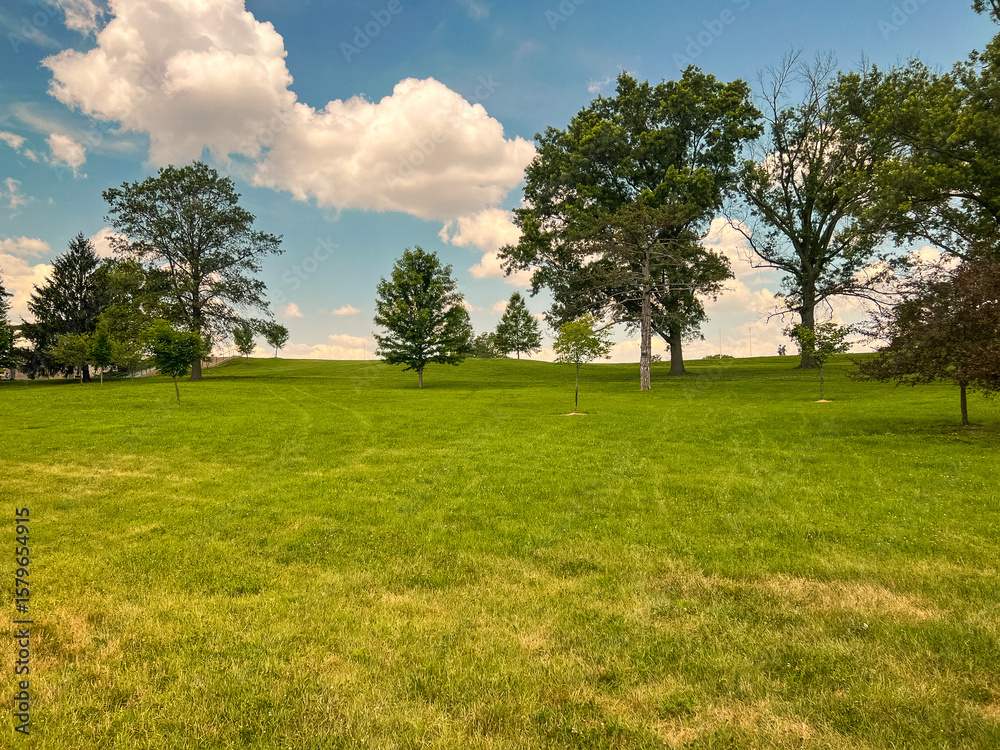 Fototapeta premium Looking up at a grassy hill lined with trees at Forest Park in St. Louis, Missouri, USA. Beautiful open space in the middle of the city. Sunny summer day with fluffy clouds.