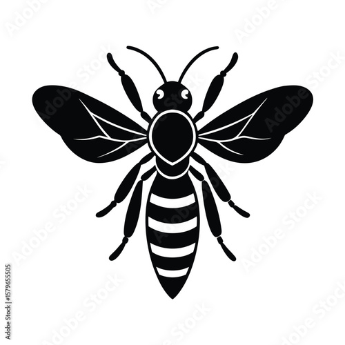 vector illustration of a wasp