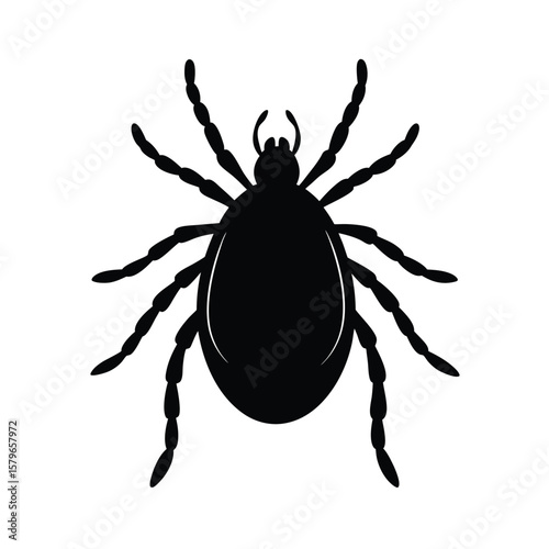 mite on a white background