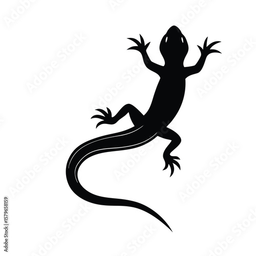 lizard tail on white background