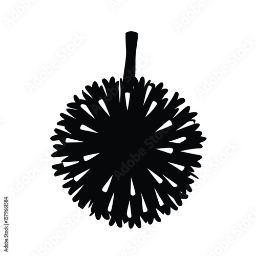 vector illustration of a cheerleader pom pom