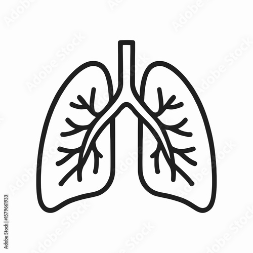 Human Lungs Icon with Bronchi Line Detail
