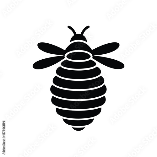 bee on white background
