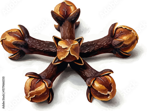 Clove Star with oil painting