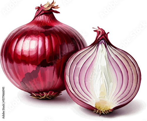 Red Onion and Half with oil painting