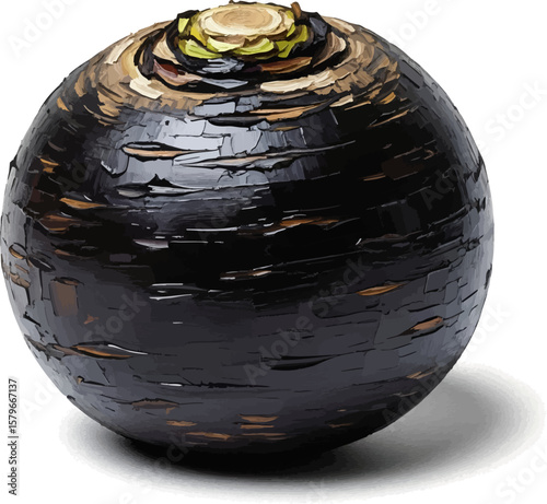 Polished Black Radish with oil painting