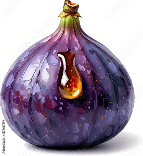 Fig with Honey Drop with oil painting