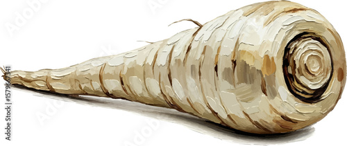 Parsnip Lengthwise Cut with oil painting