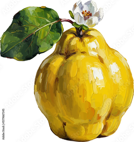 Quince with Blossom with oil painting