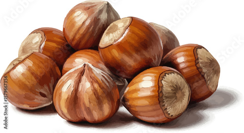 A Handful of Hazelnuts with oil painting
