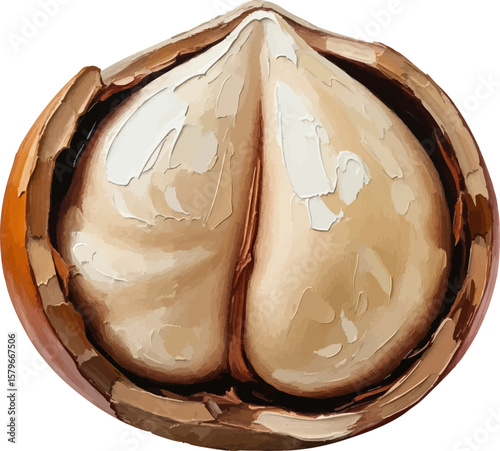 Peeled Hazelnut with oil painting