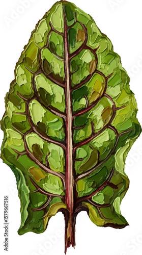 A Red-Veined Sorrel Leaf with oil painting