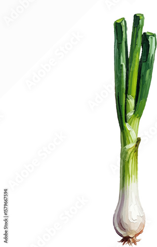 A Single Green Onion with oil painting