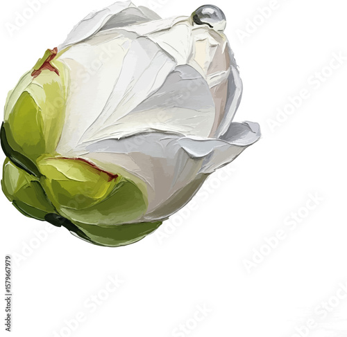 Camellia Bud with Raindrop with oil painting