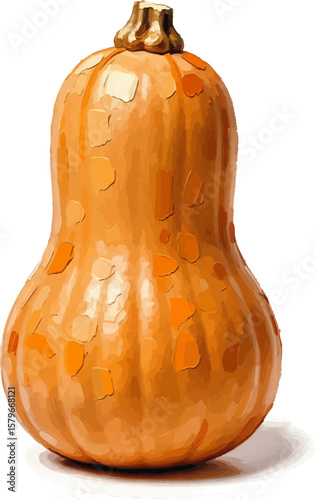 A Butternut Squash with oil painting