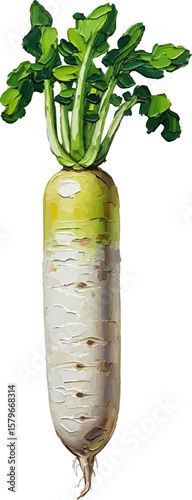 A White Radish (Daikon) with oil painting