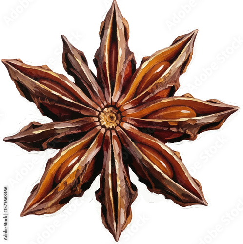 Dried Star Anise with oil painting