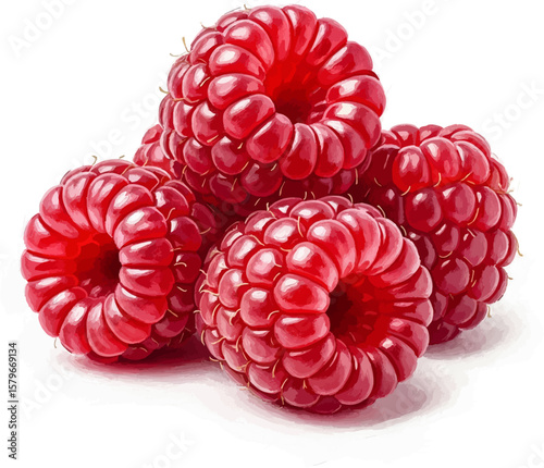 A Cluster of Raspberries with oil painting